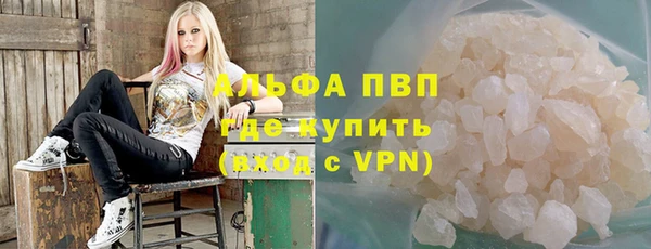 гидра Гусев